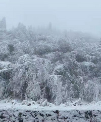 شѩ˵·ҲڽѩǸܵô