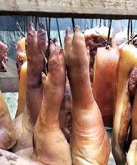 ����Χ��һ��ȫ����׳�۵�ʳ��Ǩ�㣬��ֱ���۽�