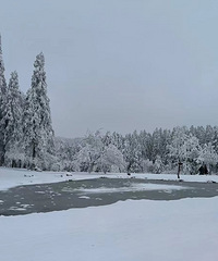 ���ڴ��޲�Զ�Σ���ȥ�ܱ���ѩ��ˣ