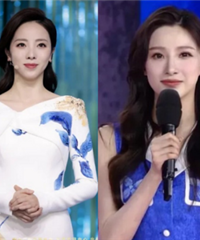 央视主持人,美女是真的多