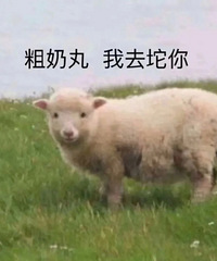 ������ֵ���򡿱�����Q�����80��Fresh��Ĥ���449