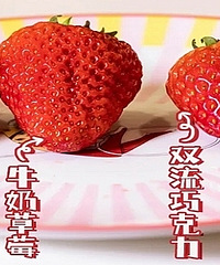 花了504元测评市面上的4款草莓