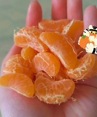 ������ɰ���٣�������ͣ��������Ҳ����ͣ��������