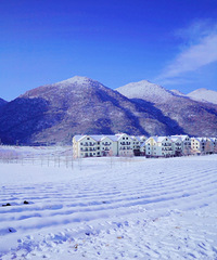 红池坝沉浸式玩雪,雪地撒欢,内有实用攻略!