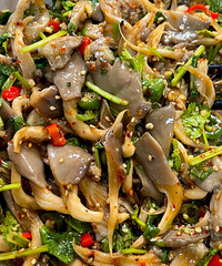 ����������ⶼ�óԣ���֬��֬�����