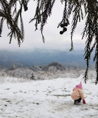 三刷耍雪只为满足雪地心意