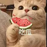 �Խ�ַ����ˣ�����ȫ�����������𡤡���