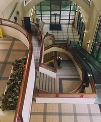 ��γϵ��׶���ɱ��ԭ������ʲô��