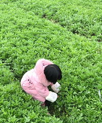 中班女儿寒假生活,体能训练第一位,坚持9点睡觉