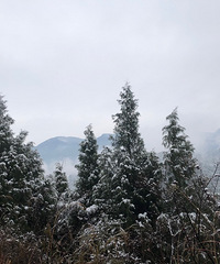 �պ�ȥ��9��̸��Ů�ѷ��֣��ڰ���5��������̸̳����11��Ů��