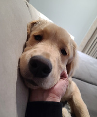 סҳŮˣ䱸24СʱѲ߱ӳ