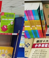 开学前买教辅挑花眼,这几类本地教辅很受欢迎