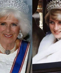 �������ా50���������λʷ