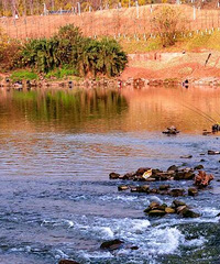 ���ó��ܱ߻���̫����