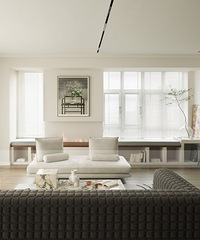 ˫ɹ⣬ͨ͸һι壬ռ