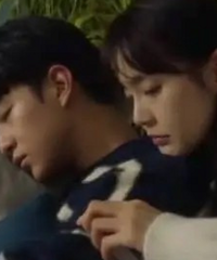 ��������ɭ���������컨��