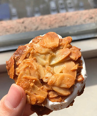 �Ƽ������������ţ�������֣�������ճ�����þ�ϲ