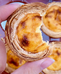 �����ҵĵ�̢�������������ʵ����ȴû���ġ�����