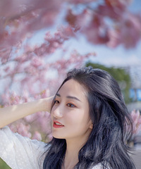 春天,与浪漫樱花的约会,春日写真记
