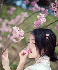 春天,与浪漫樱花的约会,春日写真记