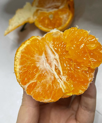 һ�궼�Բ�������ˮ��������һ��������5���ҰҸ�