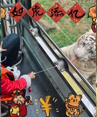 虎年看老虎,这100块钱花得值