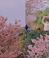 ��������ͻ��õط������ϵ��Ӹ���Ƭ