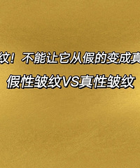 ����������лʱ���ķ�չ�������ӻ�����