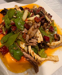 ���ϲ��������ַ����ˣ���˵ċ݋��ǲ��Ǳ���