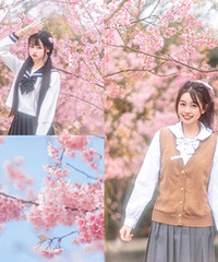 ��������ȥֲ��԰���ղ��򼷵��ؾ�