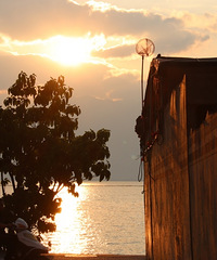 �������ѣ�˳������´�Ҷ�MBA�������Ŀ���