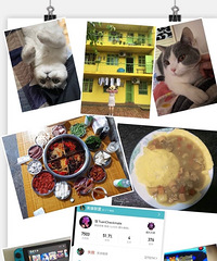 94��170CM�Ĵ�Ů�������������飬��2ֻèè