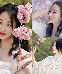 春日写真,与樱花来个浪漫的约会