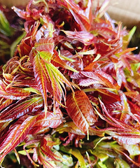 ��˵�㴻�Ѿ�����120Ԫһ��㰮���㴻��