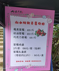 这里适合春游,能烧烤能摘菜摘草莓,还挖到了折耳根