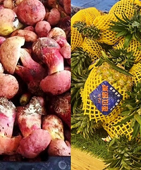 ���㿴���ϲ��г����ʻ���ˮ����Ұ������ò�����