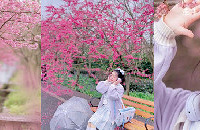 ֻƬĺõطԲԼMVŮǵ