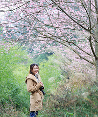 ÿ궼ҪͻĳƬû˻ҪƱ