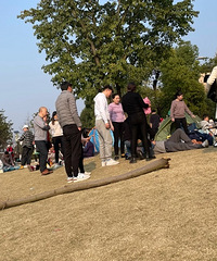 孩子掰断景观树,砸到男子头部