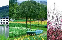 ֪ȥˣ20ʺ̤Ұ͵ĺõط