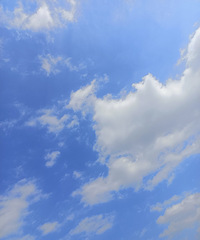 84��163CM��Ӫ��С������飬ϣ���Է���������