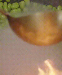 �����������ֵ�����µ��������¾�����ʷ�������ִ󷭳��ˣ�