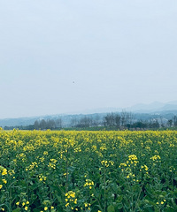 92��158CM������ҵ��С������飬ϣ���Է�����20������