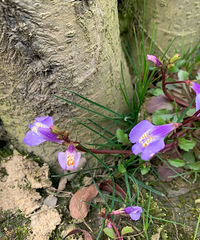 92��158CM������ҵ��С������飬ϣ���Է�����20������