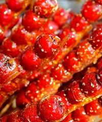 ������ʳ�����Ǻ�«��Ҳ��һ�β�Ϊ��֪�Ĺ�ȥ