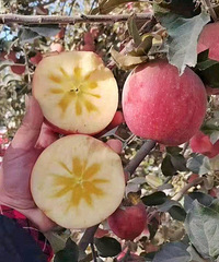 ����ţ����ϻ�Ŵ���ס�����ţ�⡤��������28Ԫ��