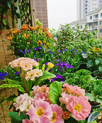 ɹ����С�ѣ����Ĳ��ǻ���������