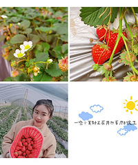 92��155CM�������������飬ϣ���Է�29~38��