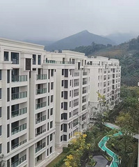 ѧ174ƽװȻй˾һԽ60װ޷