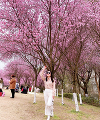 87��160CM��С������飬�����������µĹ���